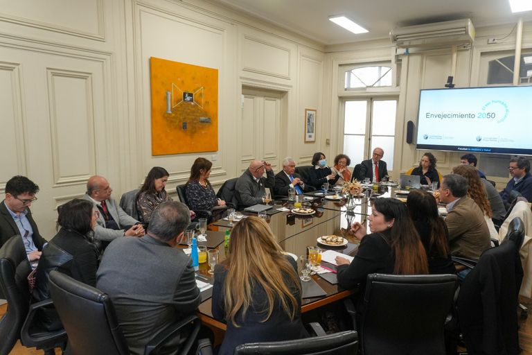 Reunión Nucleo Envejecimiento