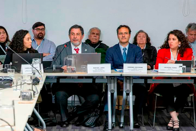 Past President y socia participan en evento de la CEPAL centrado en los cuidados