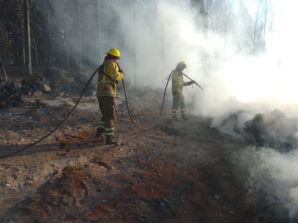Incendios en el sur de Chile: incluir a las personas mayores en la respuesta es clave.